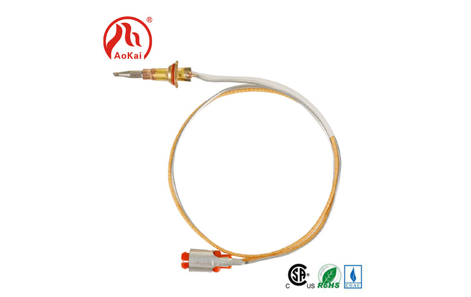 Thermocouple ad Cooker temperatus ultricies