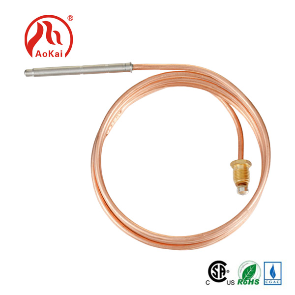 Flexibile Thermocouple