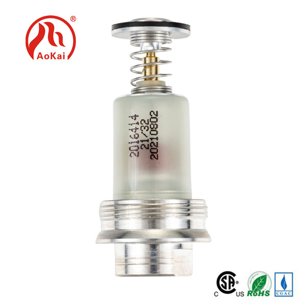 Magna valvae Gas aqua calefaciente